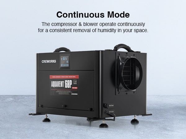 Powerful Dehumidification Capacity