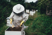 How to Use and Maintain Your Beehive Starter Kit