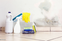 Does a Dehumidifier Remove Mold?