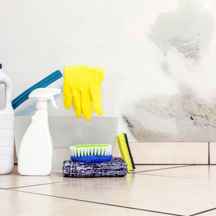 Does a Dehumidifier Remove Mold?