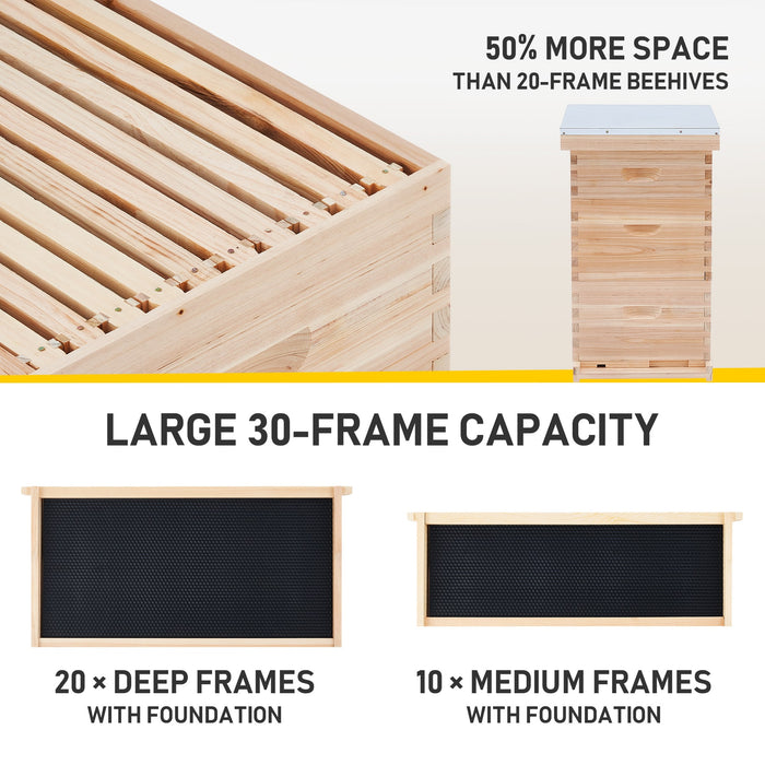 3-Layer-Bee-House-with-Frames-Supplies-Capacity