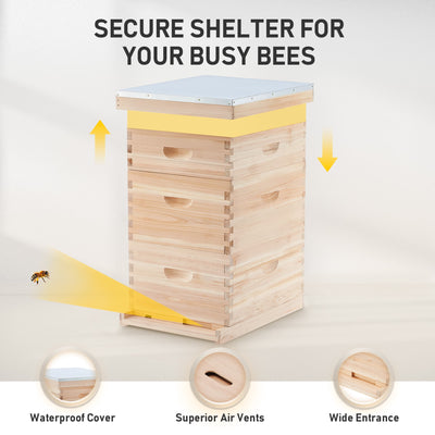    3-Layer-Bee-House-with-Frames-Supplies-Detail