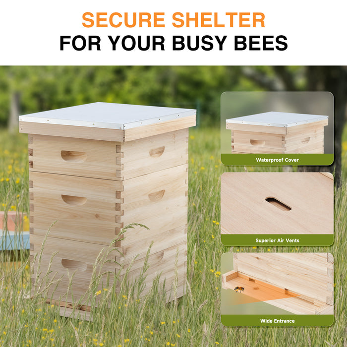 Langstroth Beehive Starter Kit - 3 Layer Bee House with Frames & Supplies