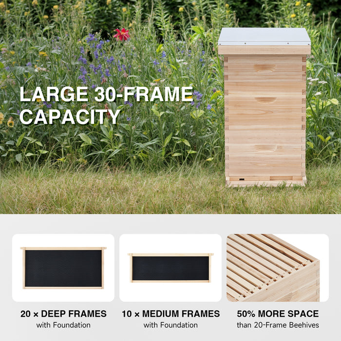 Langstroth Beehive Starter Kit - 3 Layer Bee House with Frames & Supplies