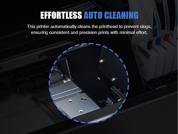 Effortless Auto Cleaning