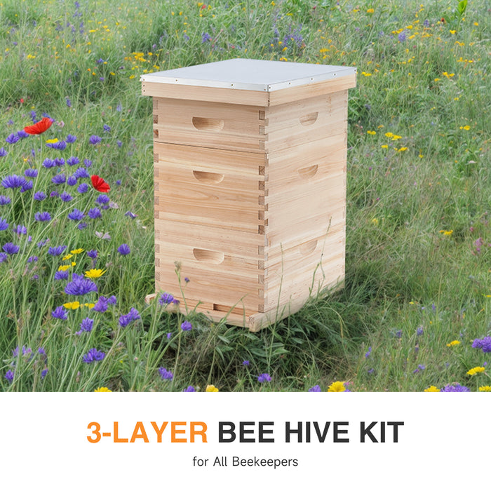 Langstroth Beehive Starter Kit - 3 Layer Bee House with Frames & Supplies